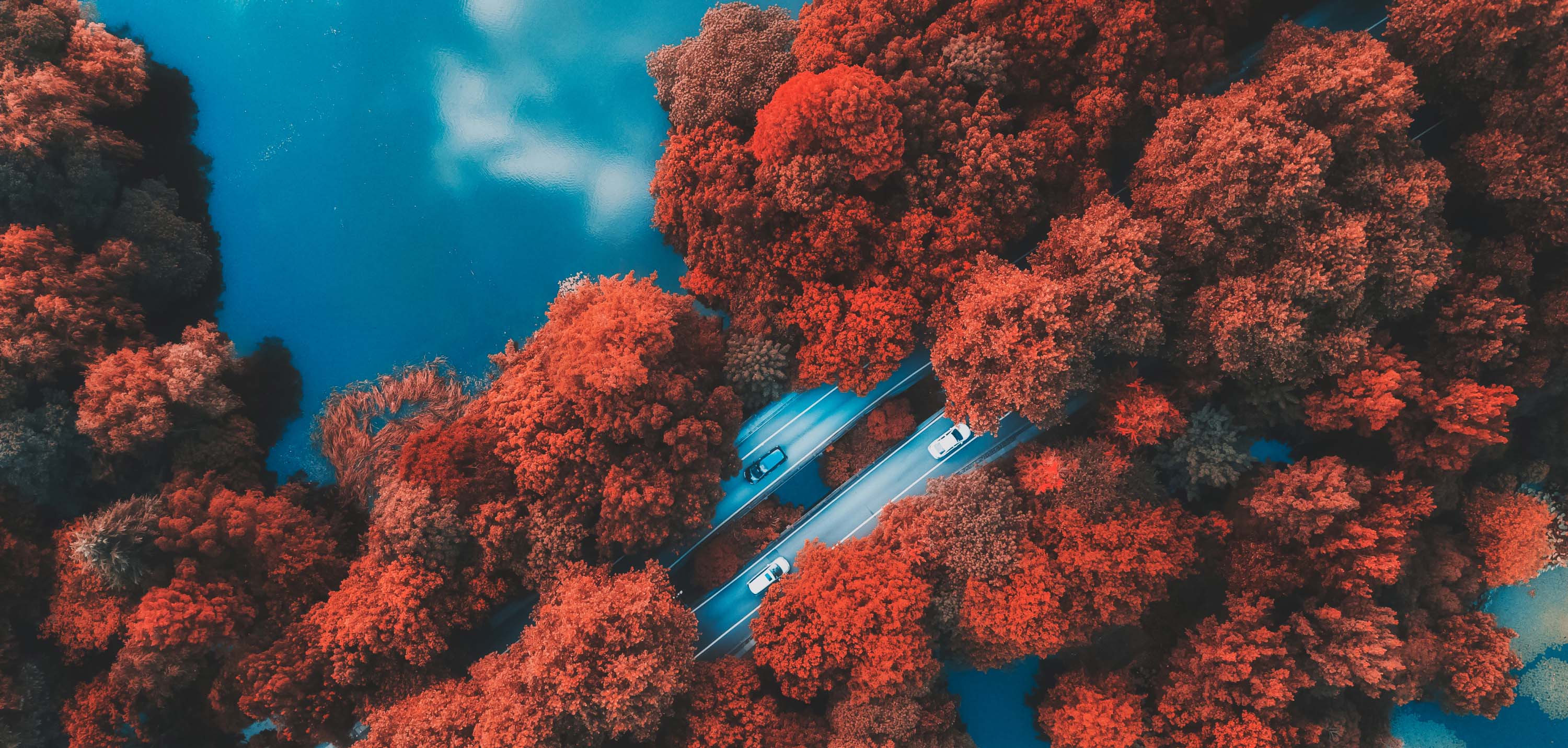 webcloner-告别截图！WebCloner全新微博备份方案，长微博、高清图一个都不少